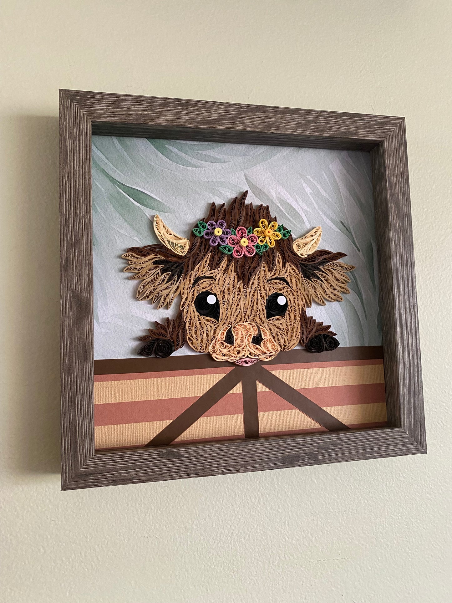 Baby Highland Cow