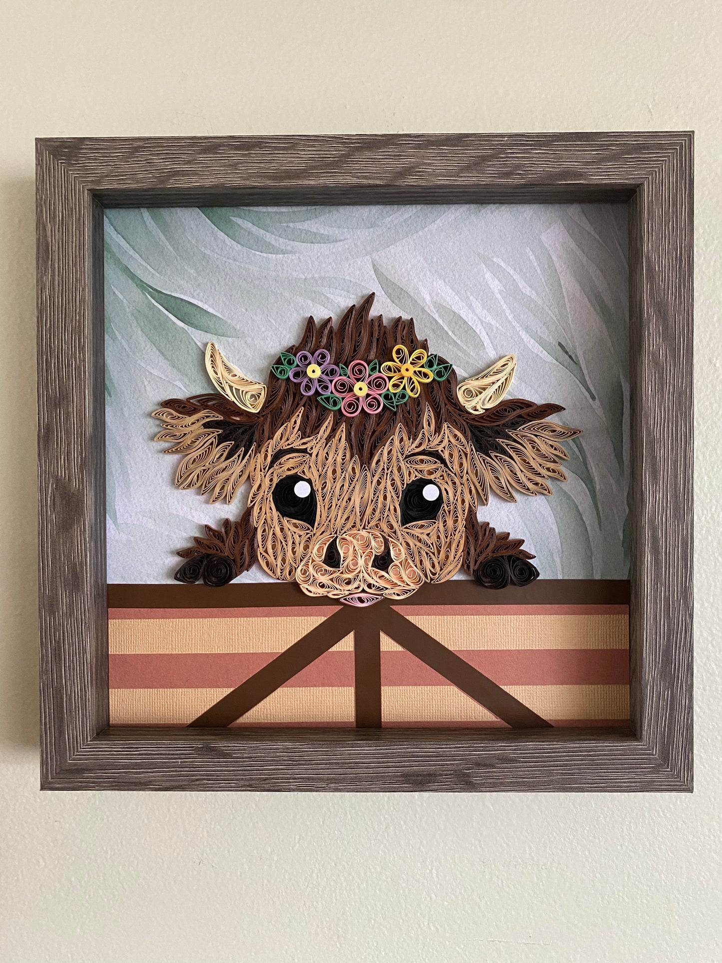 Baby Highland Cow